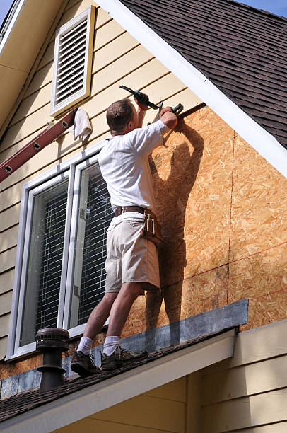 Best Stucco Siding  in Fulton, IL